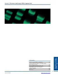 Section IV: Detection and Sizing of DNA in Agarose Gels