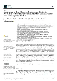 Comparison of Two Schizophyllum Commune Strains in Production of Acetylcholinesterase Inhibitors and Antioxidants from Submerged Cultivation