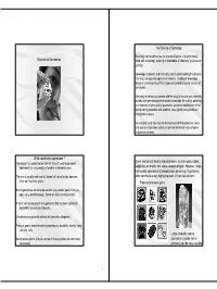 Gemstones2.Pdf