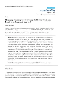 Managing Cuscuta Gronovii (Swamp Dodder) in Cranberry Requires an Integrated Approach