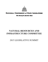 Natural Resources and Infrastructure Committee