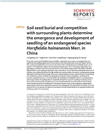 Soil Seed Burial and Competition with Surrounding Plants Determine the Emergence and Development of Seedling of an Endangered Species Horsfeldia Hainanensis Merr