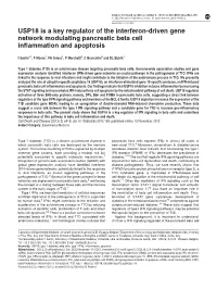 USP18 Is a Key Regulator of the Interferon-Driven Gene Network Modulating Pancreatic Beta Cell Inﬂammation and Apoptosis