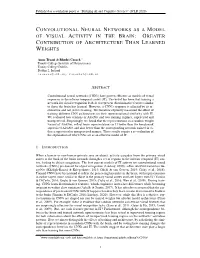 Convolutional Neural Networks As a Model of the Visual System: Past, Present, and Future, 2020
