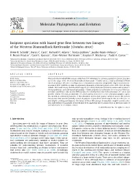 Incipient Speciation with Biased Gene Flow Between Two Lineages of the Western Diamondback Rattlesnake (Crotalus Atrox)