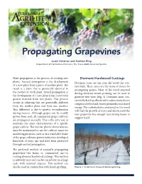 Propagating Grapevines