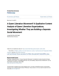 A Queer Liberation Movement? a Qualitative Content Analysis of Queer Liberation Organizations, Investigating Whether They Are Building a Separate Social Movement
