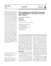 Fish Assemblages Associated with Red Grouper Pits at Pulley Ridge, A