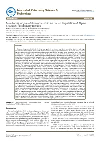 Monitoring of Pseudotuberculosis in an Italian Population of Alpine