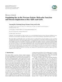 Regulating Rac in the Nervous System: Molecular Function and Disease Implication of Rac Gefs and Gaps