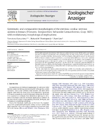 Systematic and Comparative Morphologies of the Extrinsic
