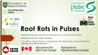 Root Rots in Pulses