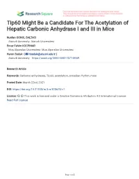 Tip60 Might Be a Candidate for the Acetylation of Hepatic Carbonic Anhydrase I and III in Mice