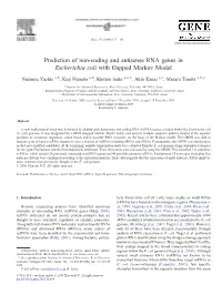 Prediction of Non-Coding and Antisense RNA Genes In