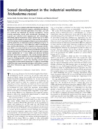 Sexual Development in the Industrial Workhorse Trichoderma Reesei