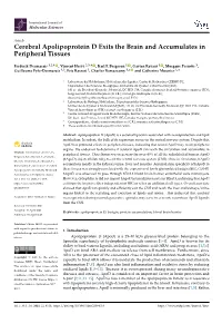 Cerebral Apolipoprotein D Exits the Brain and Accumulates in Peripheral Tissues
