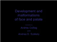 Development and Malformations of Face and Palate