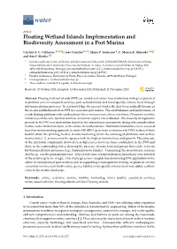 Floating Wetland Islands Implementation and Biodiversity Assessment in a Port Marina