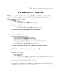 Lab 9 - an Introduction to Marine Fishes