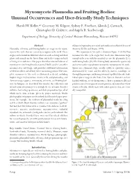 Myxomycete Plasmodia and Fruiting Bodies: Unusual Occurrences and User-Friendly Study Techniques Harold W