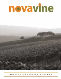 Premium Grapevine Nursery Message from Jay