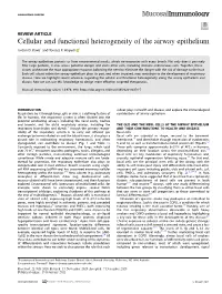 Cellular and Functional Heterogeneity of the Airway Epithelium