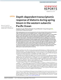 Depth-Dependent Transcriptomic Response of Diatoms During Spring