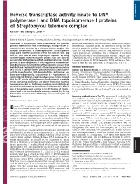 Reverse Transcriptase Activity Innate to DNA Polymerase I and DNA