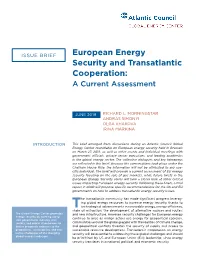 European Energy Security and Transatlantic Cooperation: a Current Assessment