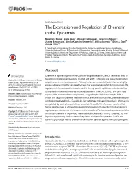 The Expression and Regulation of Chemerin in the Epidermis