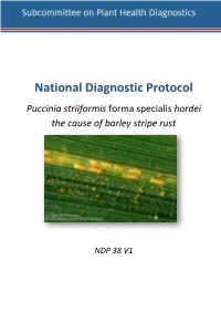Barley Stripe Rust DP