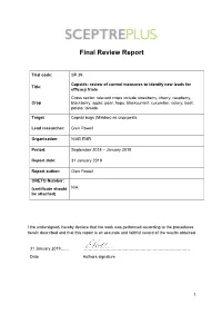 Final Review Report