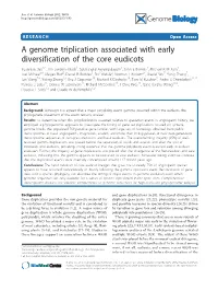 A Genome Triplication Associated with Early Diversification of the Core