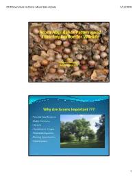 Acorn Abundance Patterns and Their Implication for Wildlife