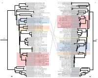 Fig 1 Com Cox1 Cytb