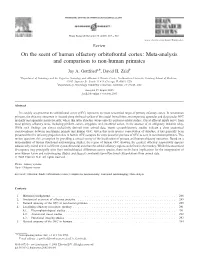 On the Scent of Human Olfactory Orbitofrontal Cortex: Meta-Analysis and Comparison to Non-Human Primates
