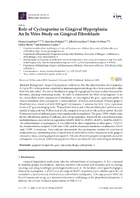 Role of Cyclosporine in Gingival Hyperplasia: an in Vitro Study on Gingival Fibroblasts