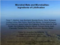 Microbial Mats and Microbialites: Ingredients of Lithification