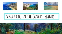 What to Do in the Canary Islands?