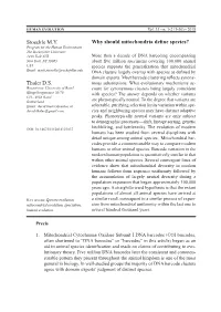 Why Should Mitochondria Define Species?