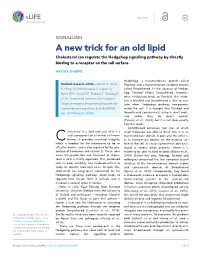 A New Trick for an Old Lipid Cholesterol Can Regulate the Hedgehog Signalling Pathway by Directly Binding to a Receptor on the Cell Surface