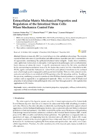Extracellular Matrix Mechanical Properties and Regulation of the Intestinal Stem Cells: When Mechanics Control Fate