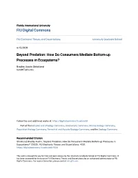 Beyond Predation: How Do Consumers Mediate Bottom-Up Processes in Ecosystems?