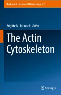 Brigitte M. Jockusch Editor the Actin Cytoskeleton Handbook of Experimental Pharmacology