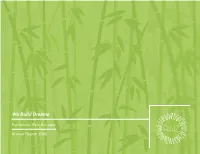 Caemba Annual Report 08.12.21