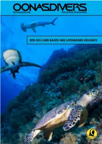 Red Sea Land Based and Liveaboard Holidays