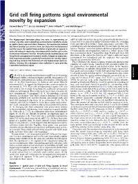Grid Cell Firing Patterns Signal Environmental Novelty by Expansion