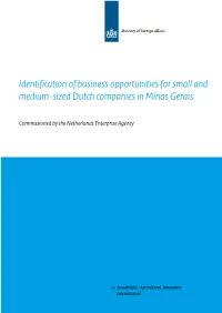 Identification of Business Opportunities for Small and Medium-Sized Dutch Companies in Minas Gerais