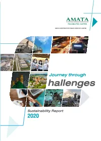 Journey Through Hallenges