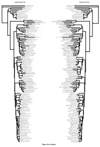 R Graphics Output